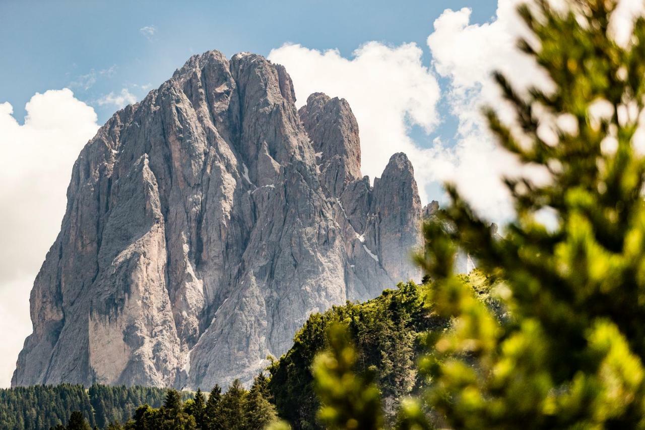 Appartamenti Hetty Santa Cristina Val Gardena Екстер'єр фото